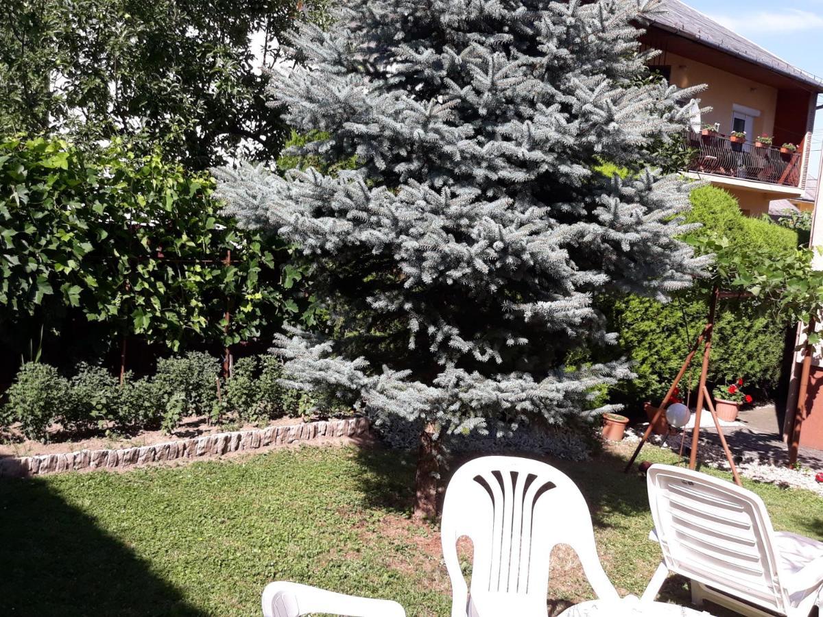 Lazar Apartmanok Heviz Bagian luar foto